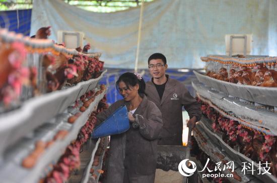 屯昌创业做什么好 屯昌哪里有手工兼职