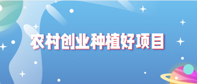 现代农村创业做什么好 现代农村适合发展生意项目
